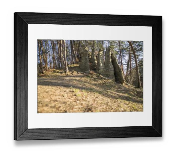 Framed Print : Rock formation in a sparse forest with sunlight Framed Print : Rock formation in a sparse forest with sunlight