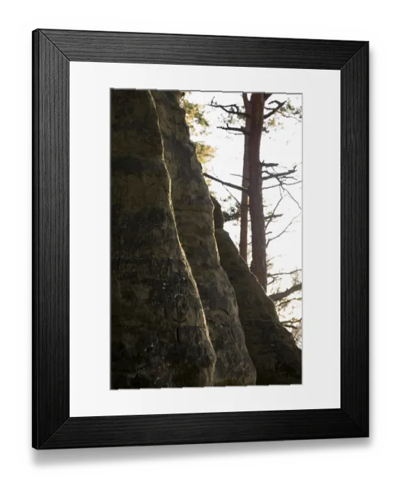 Framed Print : Rock structure in shade with tree trunk