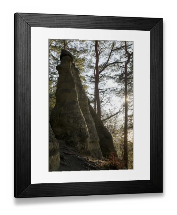 Framed Print : Rock formation in the forest illuminated by morning light through pine trees Framed Print : Rock formation in the forest illuminated by morning light through pine trees