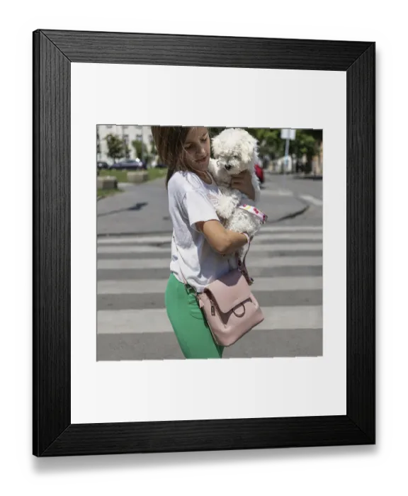 Framed Print : A girl holding a small white poodle while standing on a crosswalk in a sunny urban setting