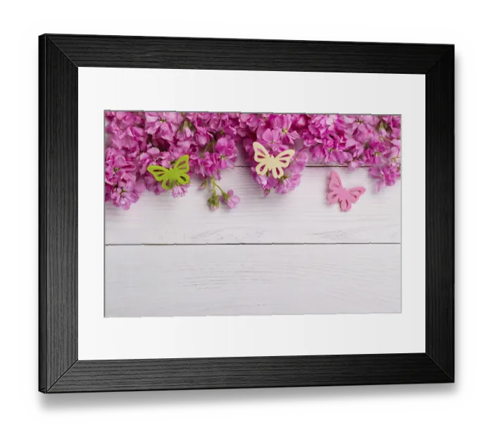 Framed Print : Fragrant pink stock flowers matthiola over white wooden background