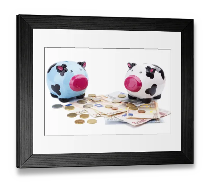 Framed Print : Piggy bank and money isolated on white