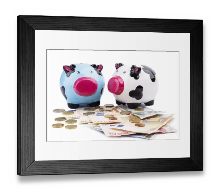 Framed Print : Piggy bank and money isolated on white Framed Print : Piggy bank and money isolated on white