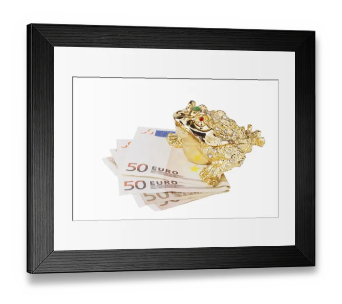 Framed Print : Chinese feng shui lucky money frog sitting on money