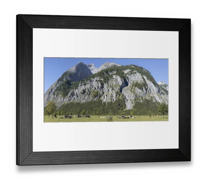 Framed Print : Herd of different breeds of cows