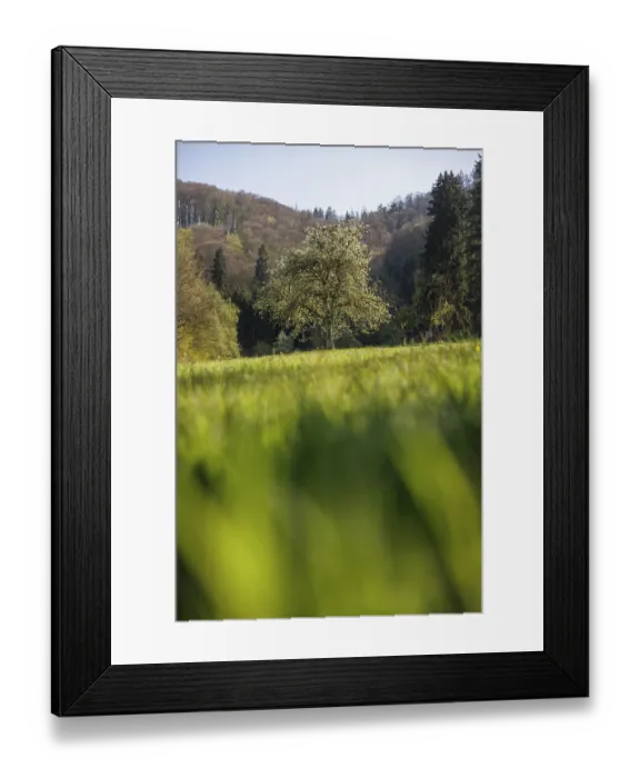 Framed Print : A tree stands on a green meadow surrounded by forests and hills under a blue sky Framed Print : A tree stands on a green meadow surrounded by forests and hills under a blue sky