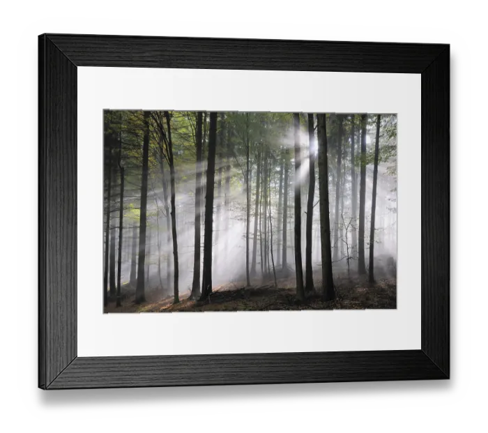 Framed Print : Sunbeams, forest, fog, sunbeam