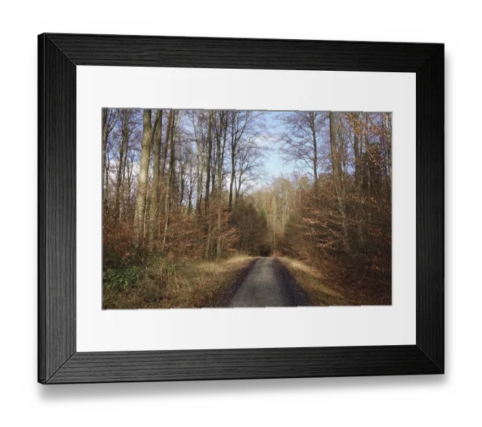 Framed Print : Waldweg Framed Print : Waldweg