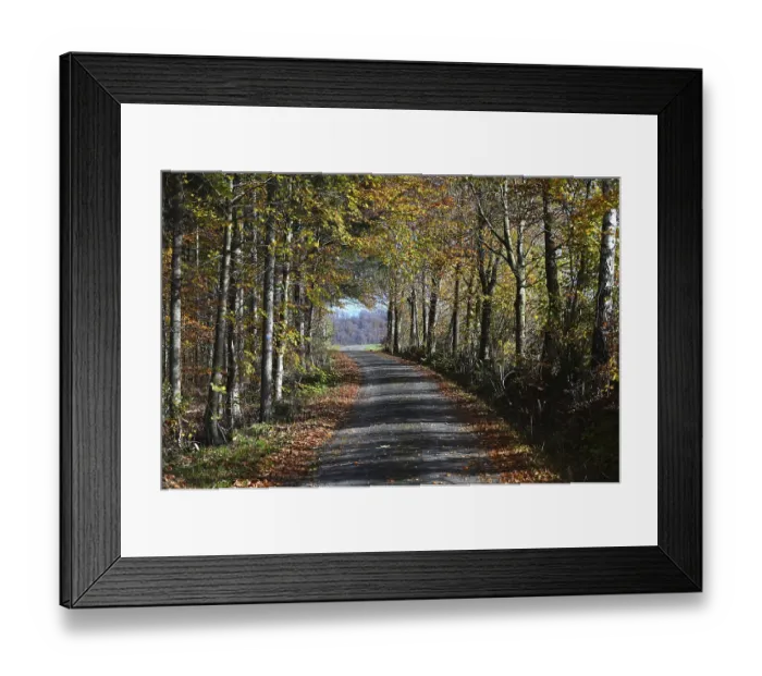 Framed Print : Waldweg in der Rhon Waldweg in der Rhn