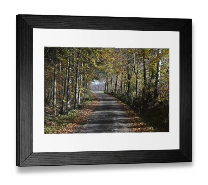 Framed Print : Waldweg in der Rhon Waldweg in der Rhn