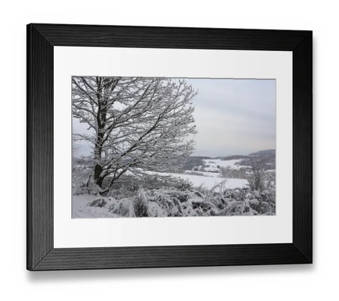 Framed Print : Winter on the Riedelbacher Heide Framed Print : Winter on the Riedelbacher Heide