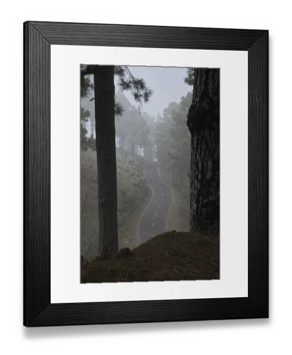 Framed Print : Atmospheric pine forest road in fog