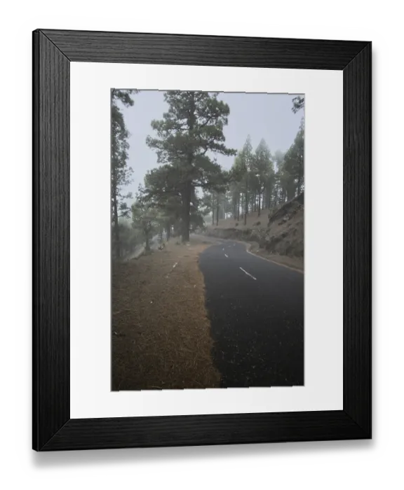 Framed Print : Atmospheric pine forest road in fog Framed Print : Atmospheric pine forest road in fog