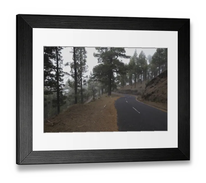 Framed Print : Atmospheric pine forest road in fog