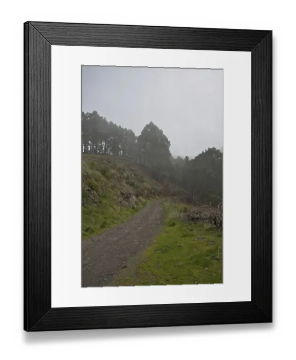 Framed Print : Atmospheric pine forest road in fog Framed Print : Atmospheric pine forest road in fog