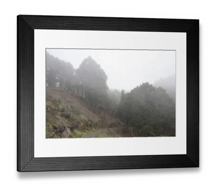Framed Print : Atmospheric pine forest road in fog