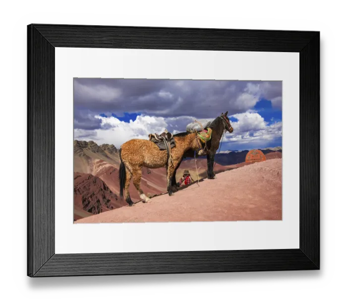 Framed Print : Indigenous guide with packhorses Framed Print : Indigenous guide with packhorses