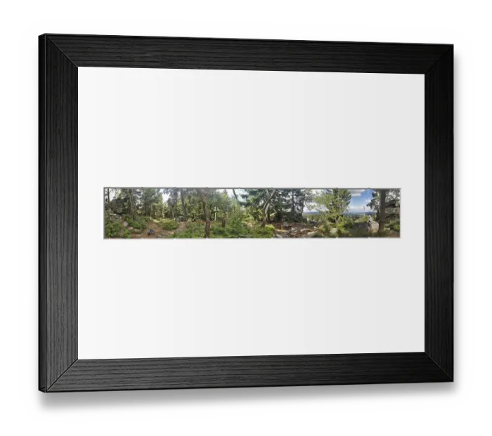 Framed Print : Panoramic view of a dense forest with trees and some rocks Framed Print : Panoramic view of a dense forest with trees and some rocks