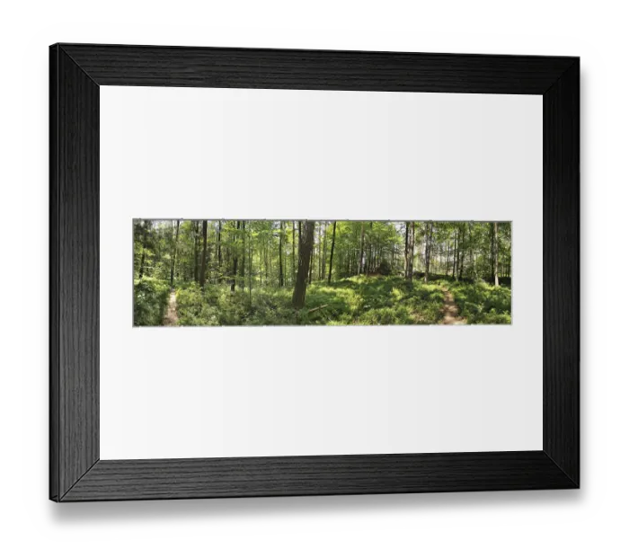 Framed Print : Panoramic picture of a lush green forest with winding paths Framed Print : Panoramic picture of a lush green forest with winding paths