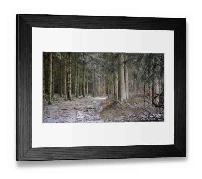 Framed Print : Quiet forest trail in a snowy forest
