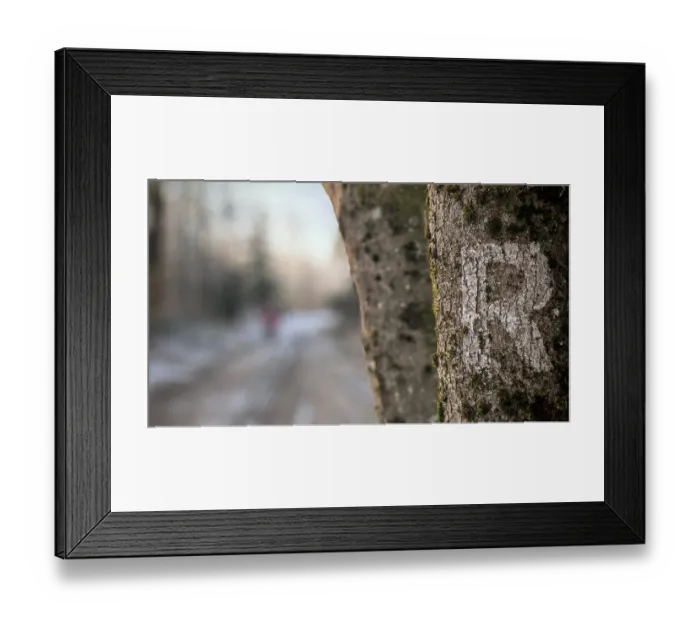 Framed Print : Close-up of a tree trunk with moss and marking with letter R as a signpost Framed Print : Close-up of a tree trunk with moss and marking with letter R as a signpost