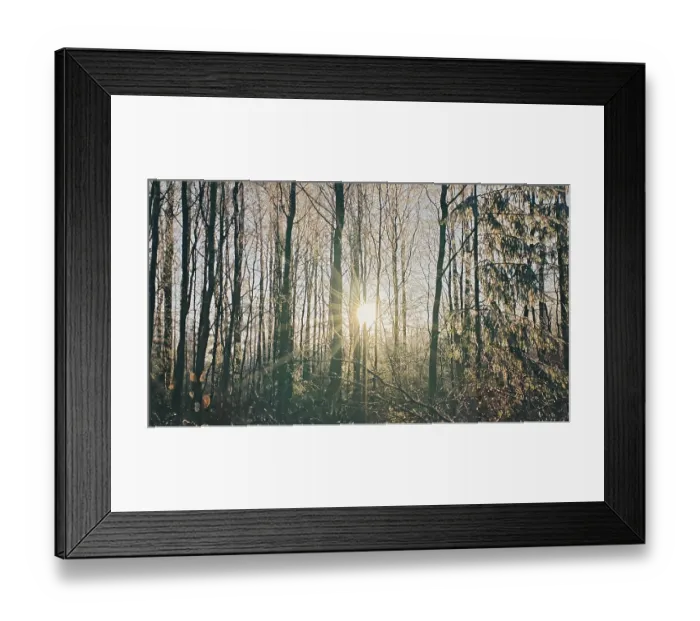 Framed Print : Sun rays break through the tall Framed Print : Sun rays break through the tall