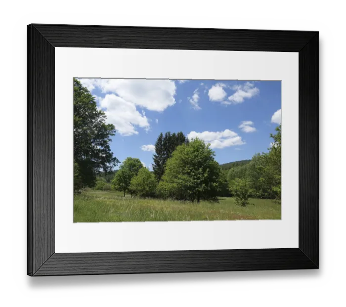 Framed Print : Meadow and trees in the Palatinate Forest