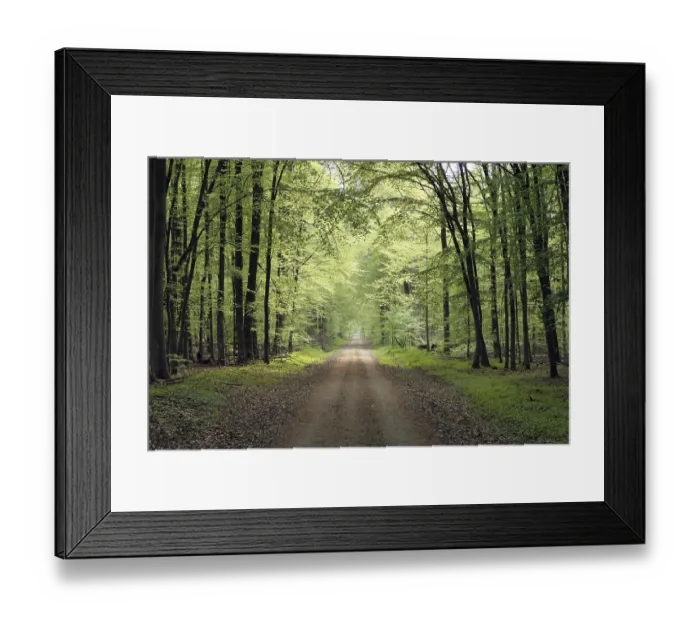 Framed Print : Waldweg Framed Print : Waldweg