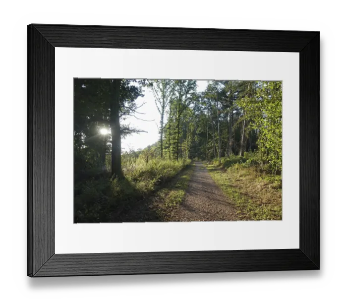 Framed Print : Waldweg