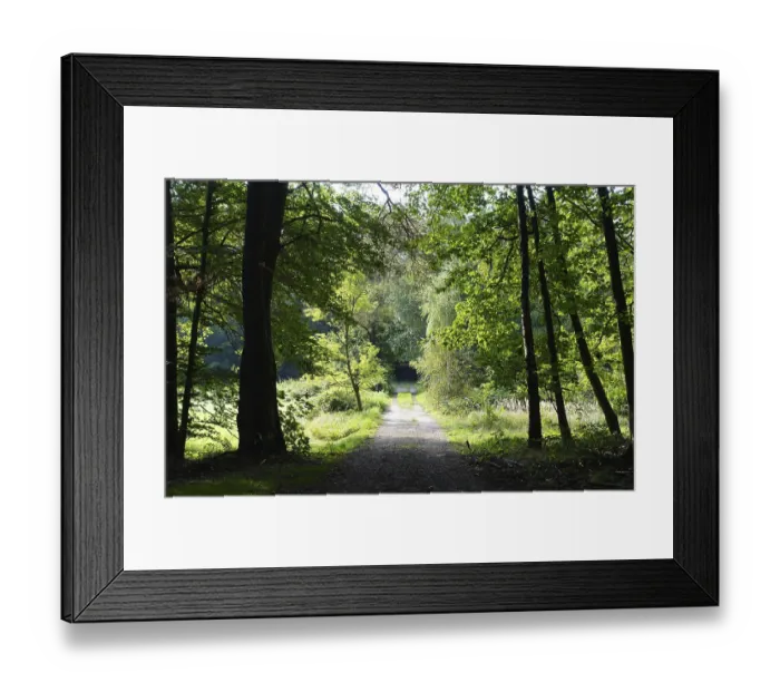 Framed Print : Waldweg
