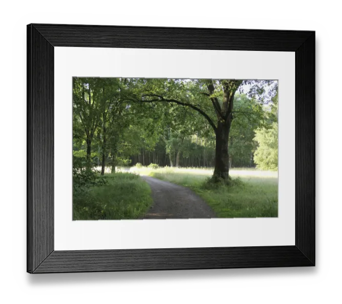 Framed Print : Waldweg