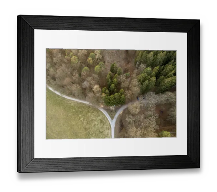 Framed Print : Bird's-eye view of a crossroads surrounded by thick trees and forest Framed Print : Bird's-eye view of a crossroads surrounded by thick trees and forest