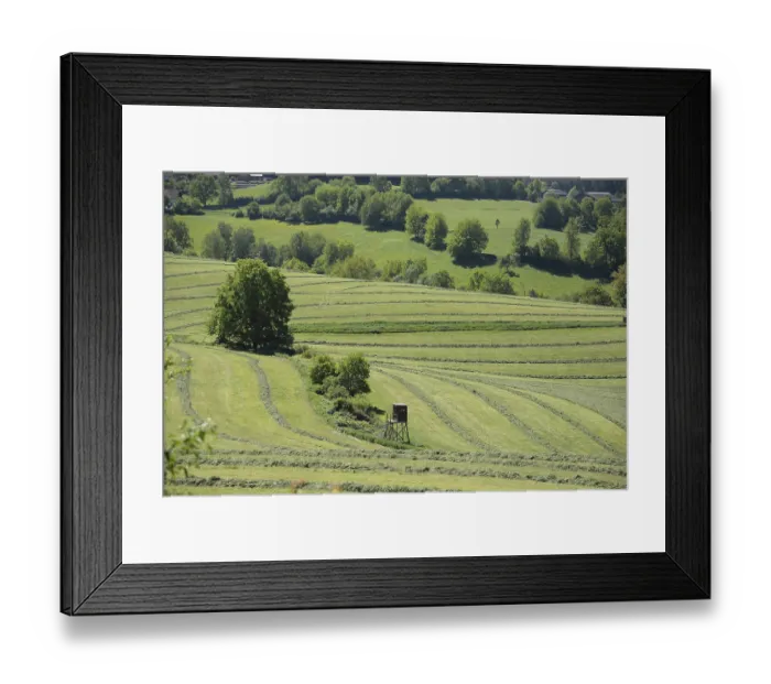 Framed Print : Mowed meadow Framed Print : Mowed meadow
