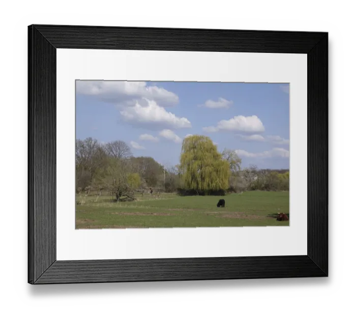 Framed Print : Weide bei Dreieichenhain Framed Print : Weide bei Dreieichenhain