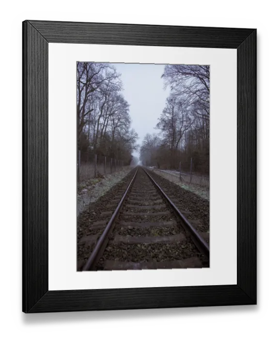 Framed Print : Straight tracks flanked by trees lead through a foggy winter landscape Framed Print : Straight tracks flanked by trees lead through a foggy winter landscape