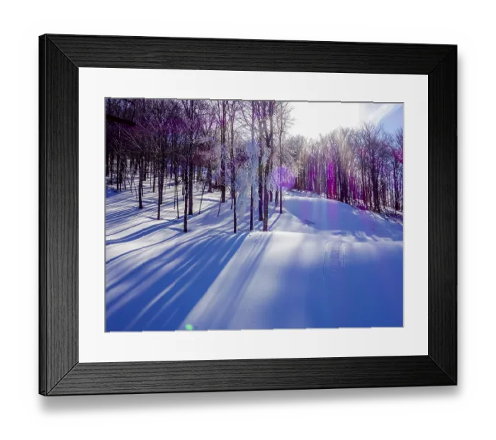 Framed Print : Sunset in the wood between the trees strains in winter period