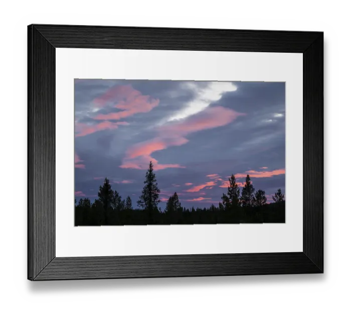 Framed Print : Evening cloud atmosphere over boreal spruce forest