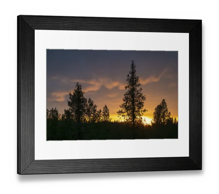 Framed Print : Evening cloud atmosphere over boreal spruce forest Framed Print : Evening cloud atmosphere over boreal spruce forest