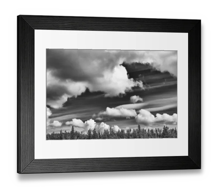 Framed Print : Cloudy sky over boreal coniferous forest Framed Print : Cloudy sky over boreal coniferous forest