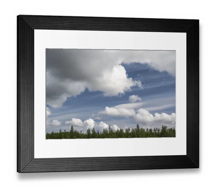 Framed Print : Cloudy sky over boreal coniferous forest Framed Print : Cloudy sky over boreal coniferous forest