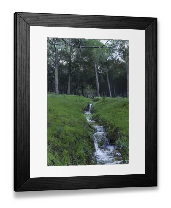Framed Print : Ronda, malaga, spain Forest stream flowing quickly downhill