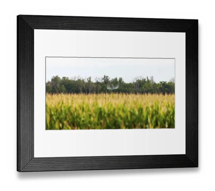 Framed Print : Farm helicopter distant among corn