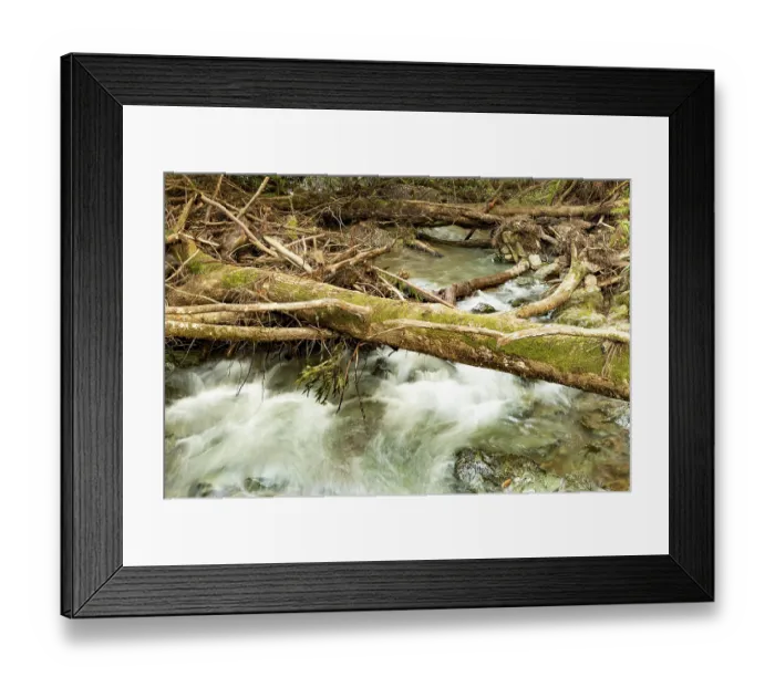 Framed Print : Title Rushing water of a forest creek flowing under fallen logs in Muir Woods near San Francisco