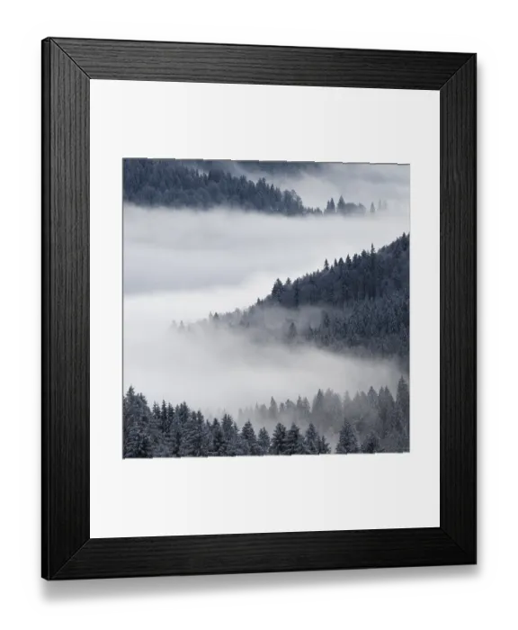 Framed Print : Misty forest landscape with fog covering tree-covered hills (Abies alba) in a serene winter atmosphere