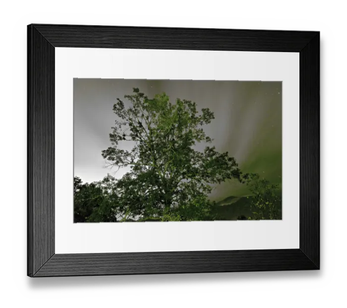 Framed Print : Nature scenes on blue ridge parkway great smoky mountains