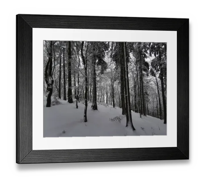 Framed Print : Snowy forest in a quiet winter landscape with dark shades