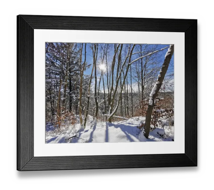 Framed Print : Bright winter forest with sun and blue sky