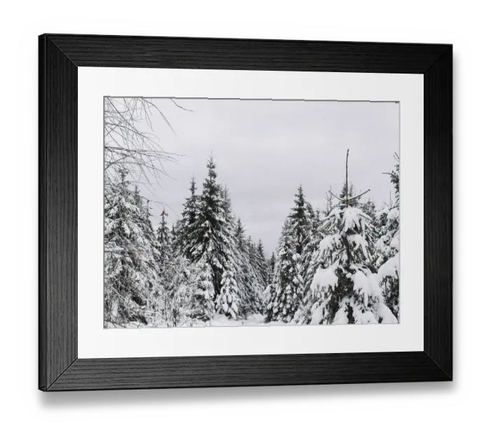 Framed Print : Snow-covered forest with dense fir trees (abies) under a grey sky