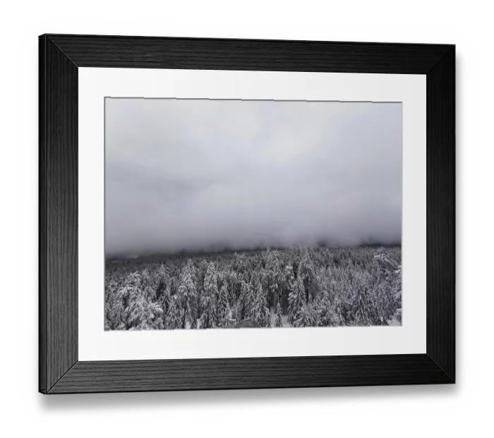 Framed Print : Thick fog surrounds a snow-covered forest landscape Framed Print : Thick fog surrounds a snow-covered forest landscape
