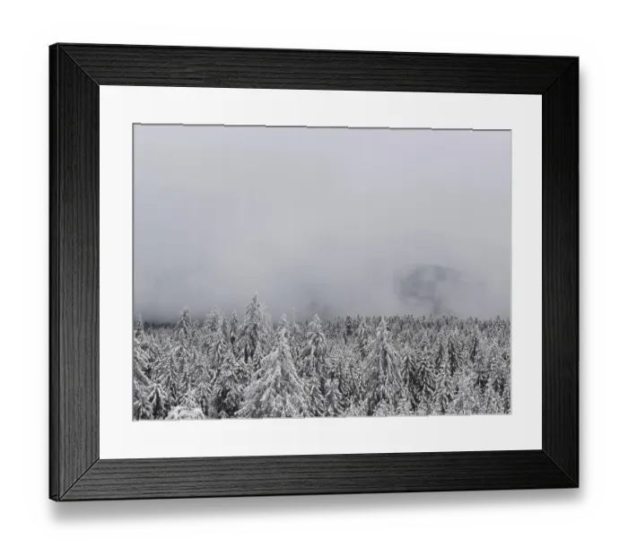 Framed Print : Snowy winter forest under thick fog